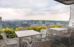 The Scotts Tower (D9), Condominium #473343411